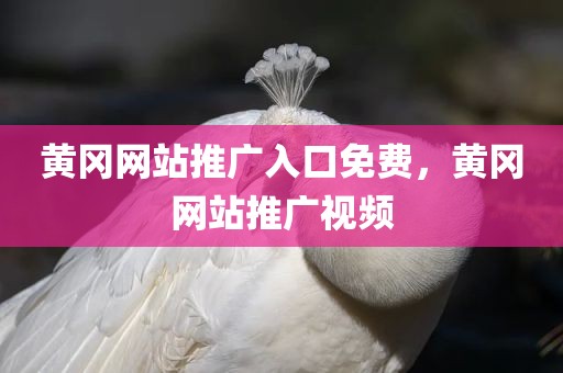 黄冈网站推广入口免费，黄冈网站推广视频