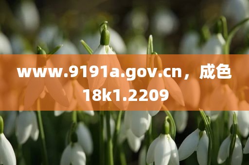 www.9191a.gov.cn，成色18k1.2209