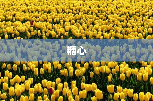糖心