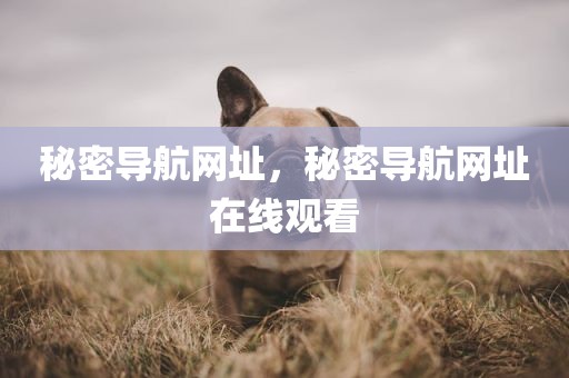秘密导航网址，秘密导航网址在线观看