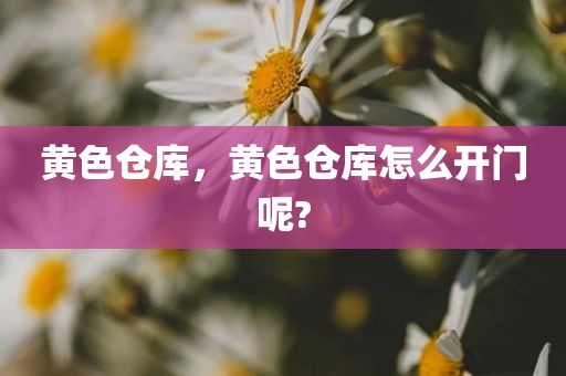 黄色仓库，黄色仓库怎么开门呢?