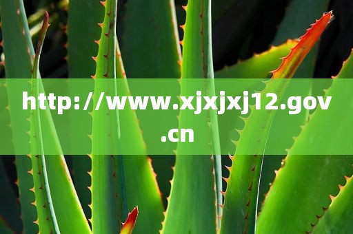 http://www.xjxjxj12.gov.cn