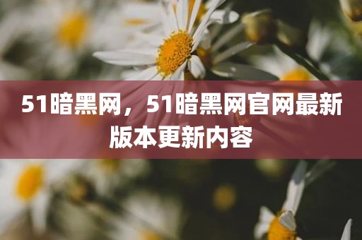 51暗黑网，51暗黑网官网最新版本更新内容