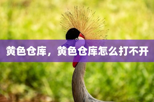 黄色仓库，黄色仓库怎么打不开