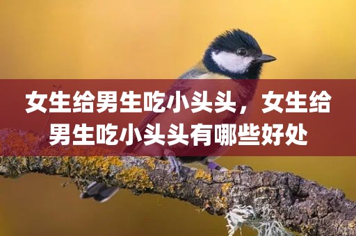 女生给男生吃小头头，女生给男生吃小头头有哪些好处