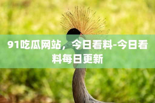 91吃瓜网站，今日看料-今日看料每日更新