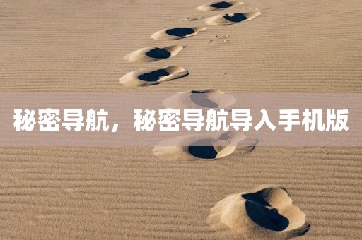 秘密导航，秘密导航导入手机版