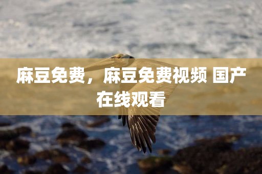 麻豆免费，麻豆免费视频 国产在线观看