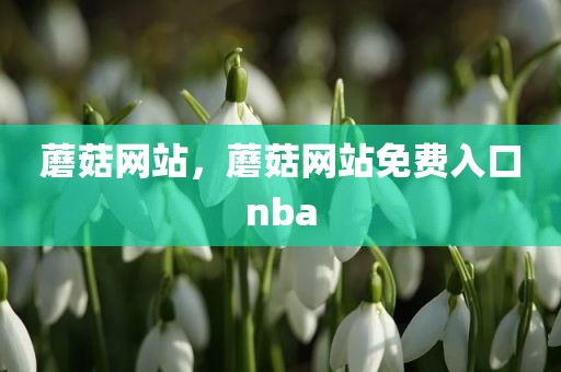 蘑菇网站，蘑菇网站免费入口nba