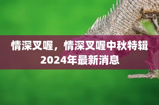 情深叉喔，情深叉喔中秋特辑2024年最新消息