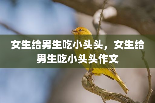 女生给男生吃小头头，女生给男生吃小头头作文