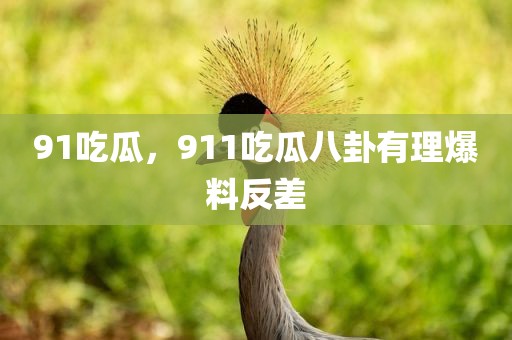 91吃瓜，911吃瓜八卦有理爆料反差