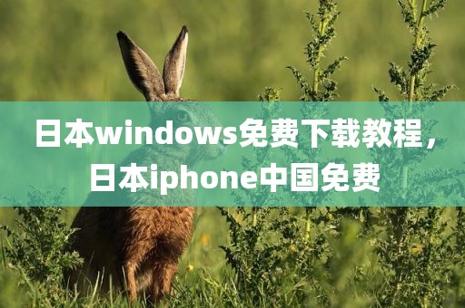 日本windows免费下载教程，日本iphone中国免费
