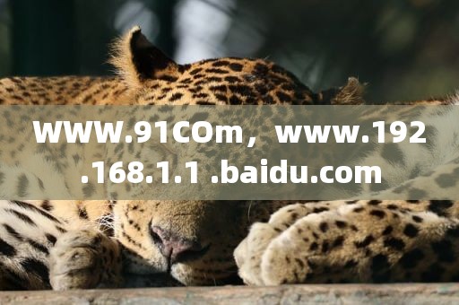 WWW.91COm，www.192.168.1.1 .baidu.com
