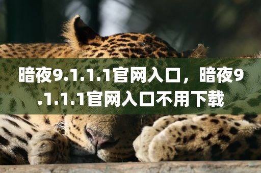 暗夜9.1.1.1官网入口，暗夜9.1.1.1官网入口不用下载
