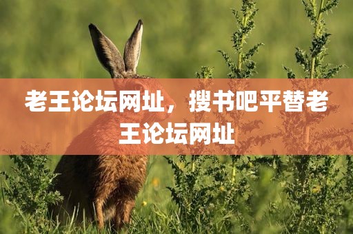 老王论坛网址，搜书吧平替老王论坛网址