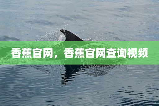香蕉官网，香蕉官网查询视频