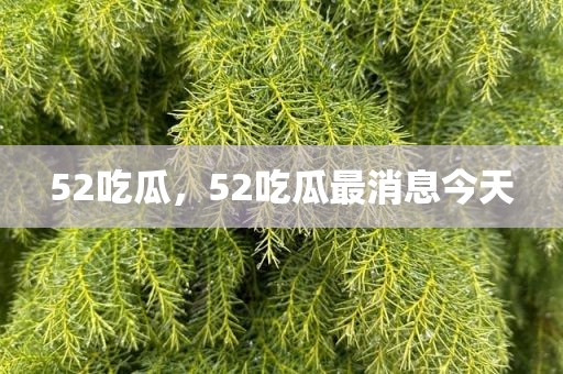 52吃瓜，52吃瓜最消息今天
