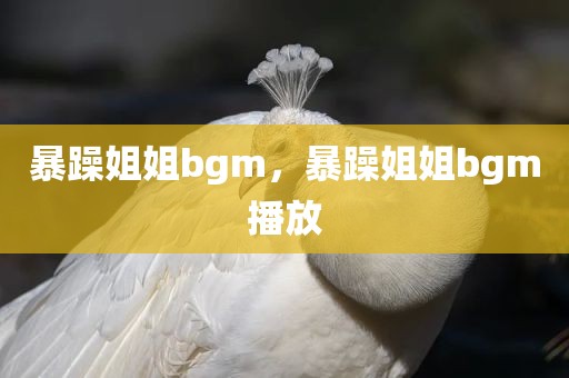 暴躁姐姐bgm，暴躁姐姐bgm播放