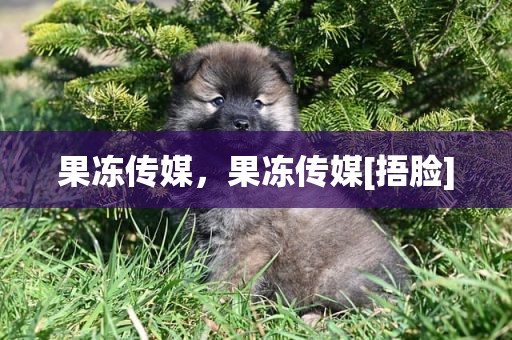 果冻传媒，果冻传媒[捂脸]