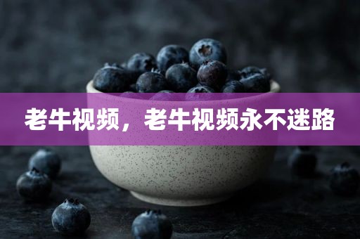 老牛视频，老牛视频永不迷路