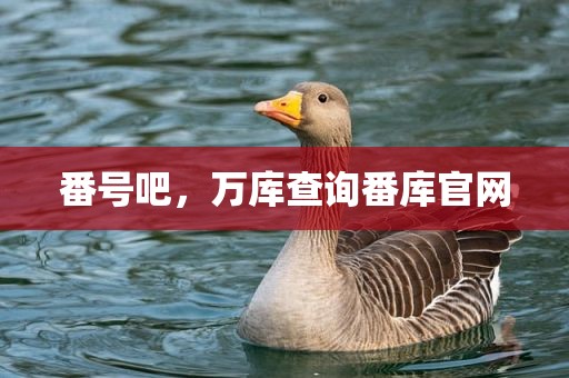 番号吧，万库查询番库官网