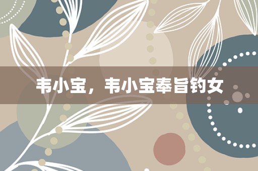 韦小宝，韦小宝奉旨钓女