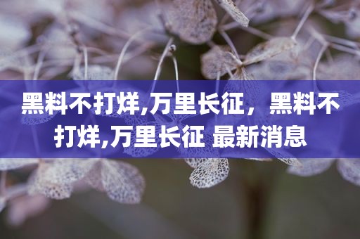 黑料不打烊,万里长征，黑料不打烊,万里长征 最新消息