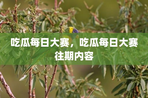 吃瓜每日大赛，吃瓜每日大赛往期内容