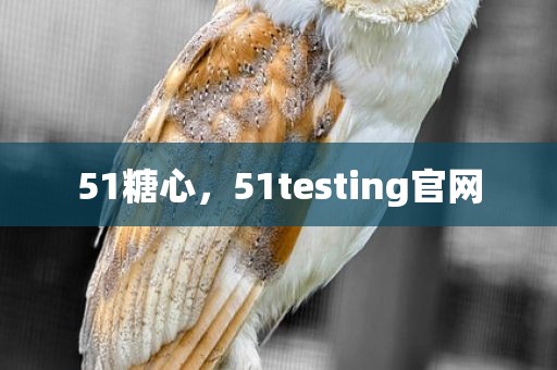 51糖心，51testing官网