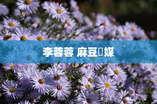 李蓉蓉 麻豆傳媒