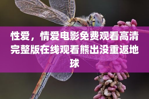 性爱，情爱电影免费观看高清完整版在线观看熊出没重返地球