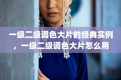 一级二级调色大片的经典实例，一级二级调色大片怎么用