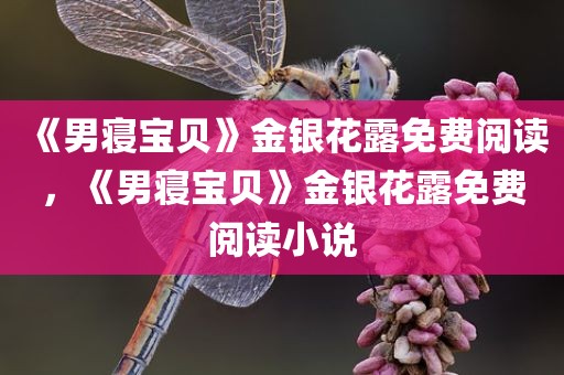 《男寝宝贝》金银花露免费阅读，《男寝宝贝》金银花露免费阅读小说