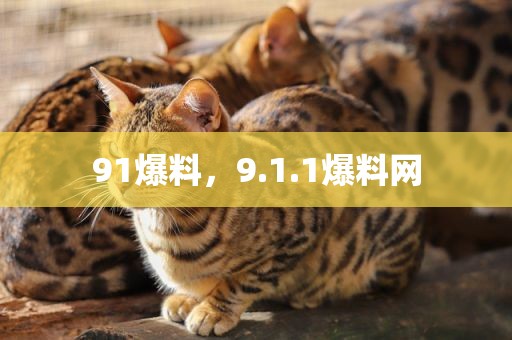 91爆料，9.1.1爆料网