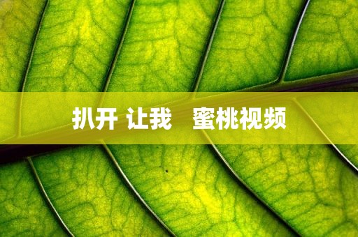 扒开 让我   蜜桃视频