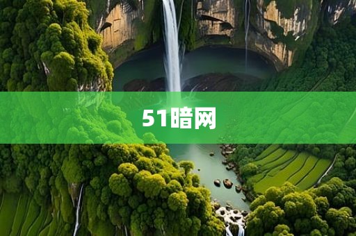 51暗网