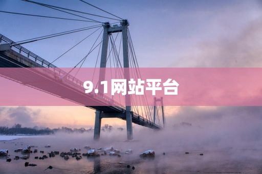 9.1网站平台