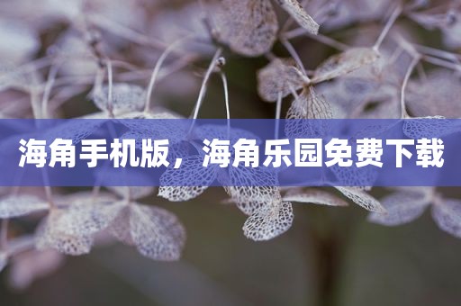 海角手机版，海角乐园免费下载
