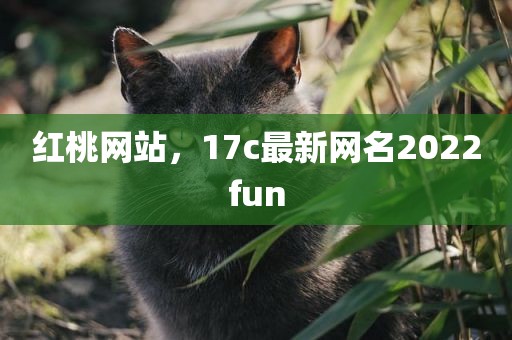 红桃网站，17c最新网名2022fun
