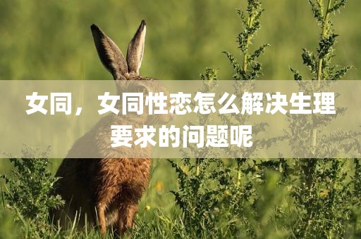 女同，女同性恋怎么解决生理要求的问题呢