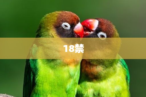 18禁