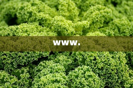 www.