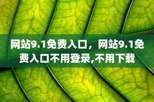 网站9.1免费入口，网站9.1免费入口不用登录,不用下载