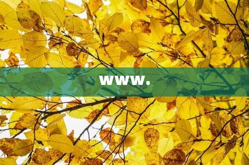 www.