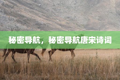 秘密导航，秘密导航唐宋诗词