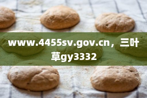 www.4455sv.gov.cn，三叶草gy3332