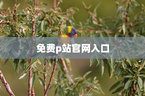 免费p站官网入口