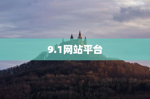 9.1网站平台