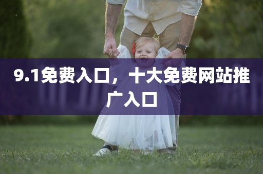 9.1免费入口，十大免费网站推广入口